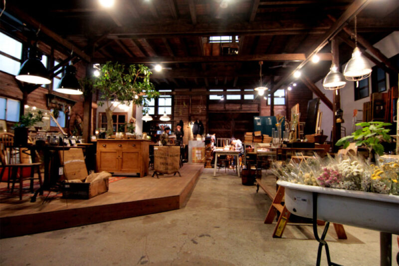 ノルディックパイン無垢フローリングとアンティーク什器が並ぶ正面の展示エリア