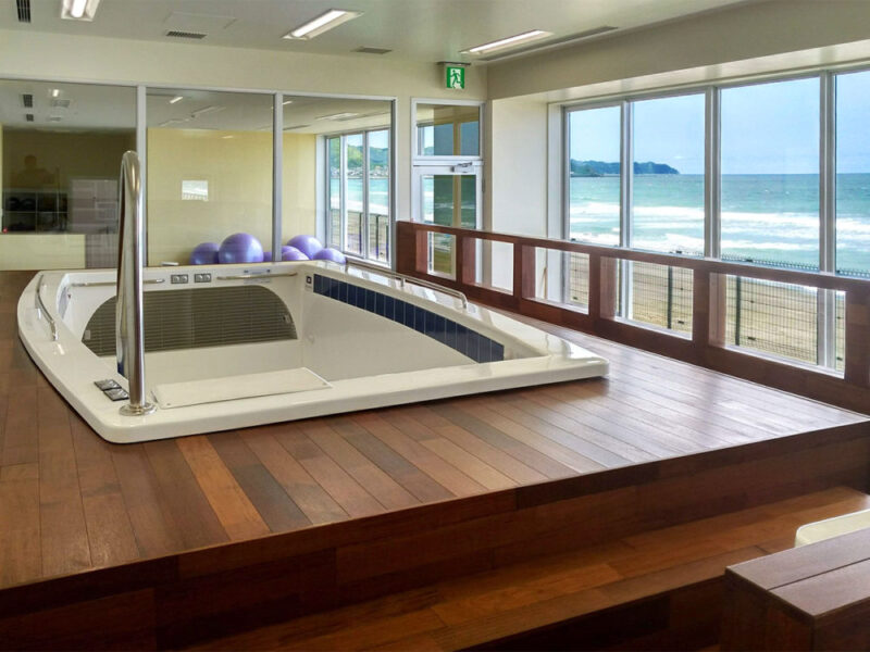 太平洋を一望できる愛犬用アクアフィットネス施設とメルバウ無垢フローリングの施工事例