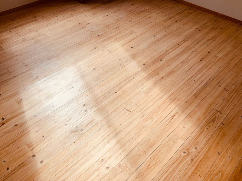 日差しを受ける美しい杉無垢フローリング