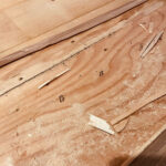 カビの痕跡が見える下地合板のクローズアップ