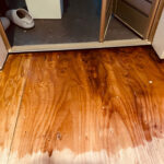 浴室前の下地合板に防カビ処理を行った全体写真