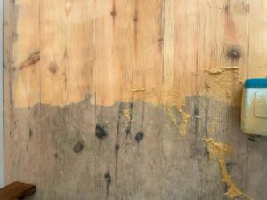 研磨前後の違いがはっきりわかるパイン複合フローリング