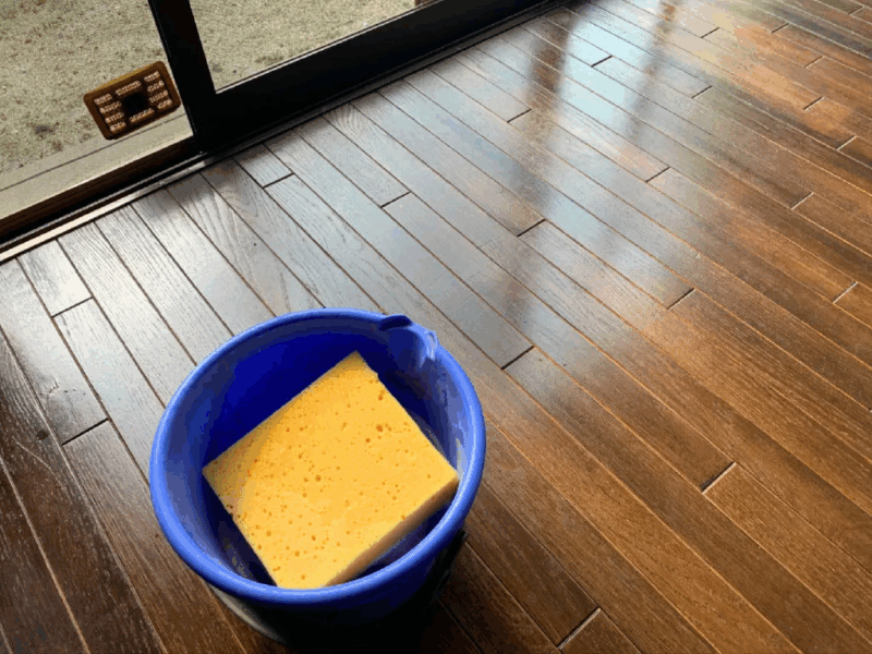 青いバケツとスポンジを使って無垢フローリングを洗浄する準備