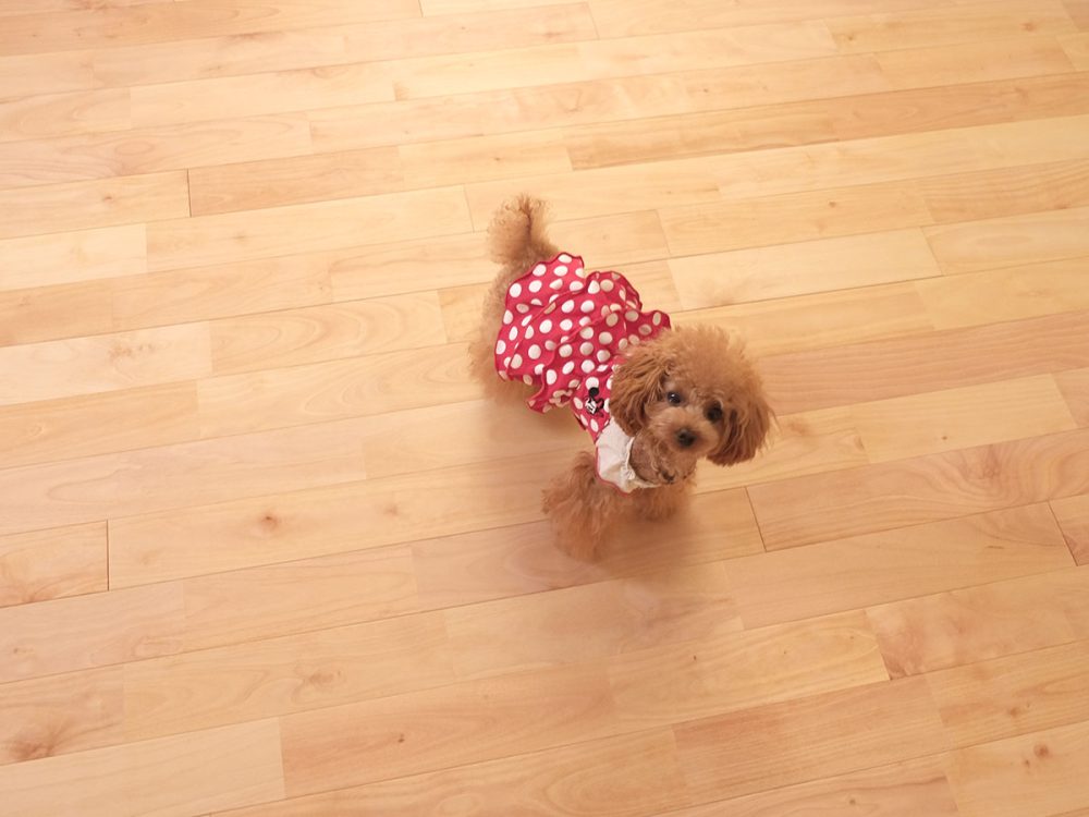 シルバーチェリー施工事例