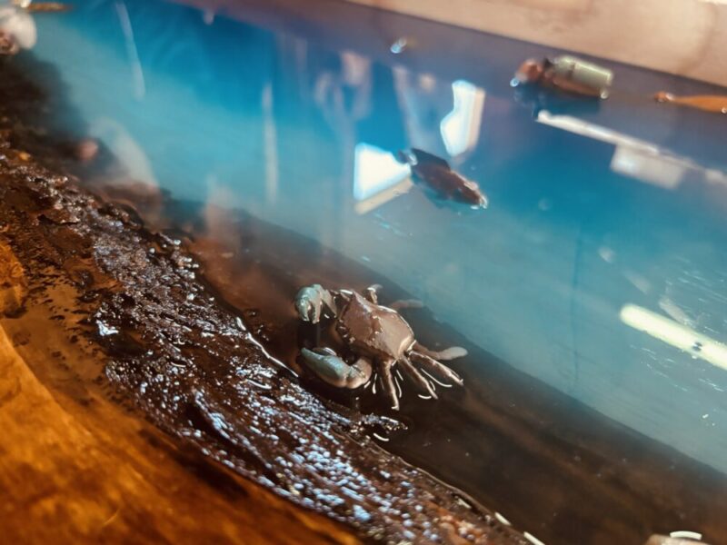 レジンの中に配置されたカニのフィギュア。ブルーの海と木材がリアルな海底を演出