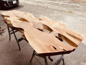 カイヅカイブキの美しいコントラストとダイナミックな造形