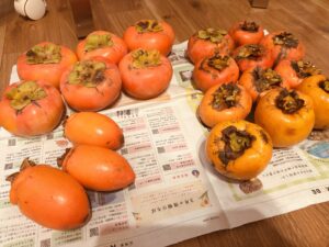 新聞紙の上に並べられた様々な種類の柿。丸い柿と細長い形の柿が色鮮やかに置かれている