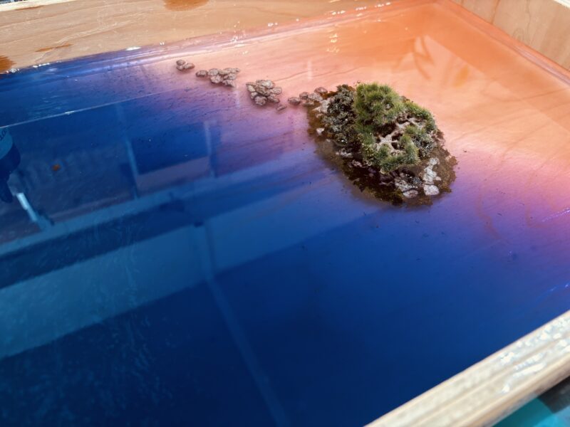 富山県雨晴海岸の夕焼けをイメージしたオレンジから濃紺へと変化するレジンテーブル