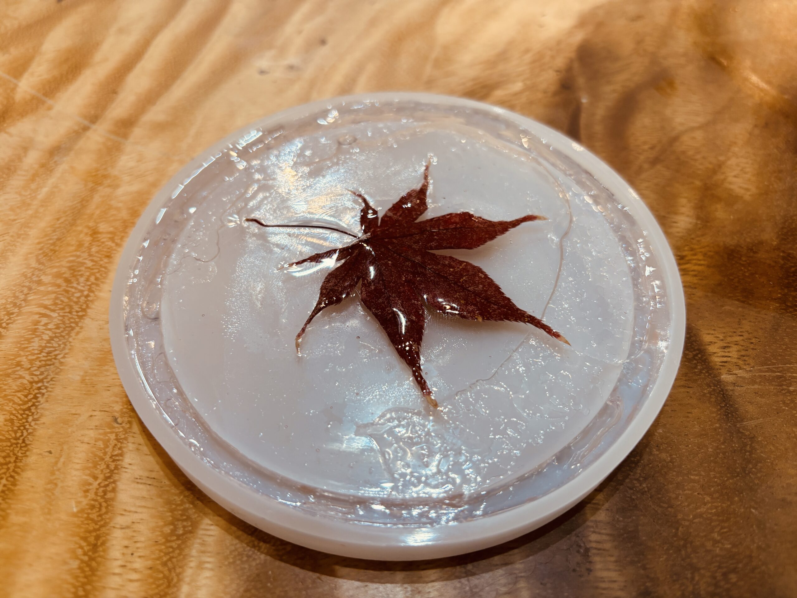 紅葉が舞うレジンの世界へ。けんしんビジネスマッチングで“触れる