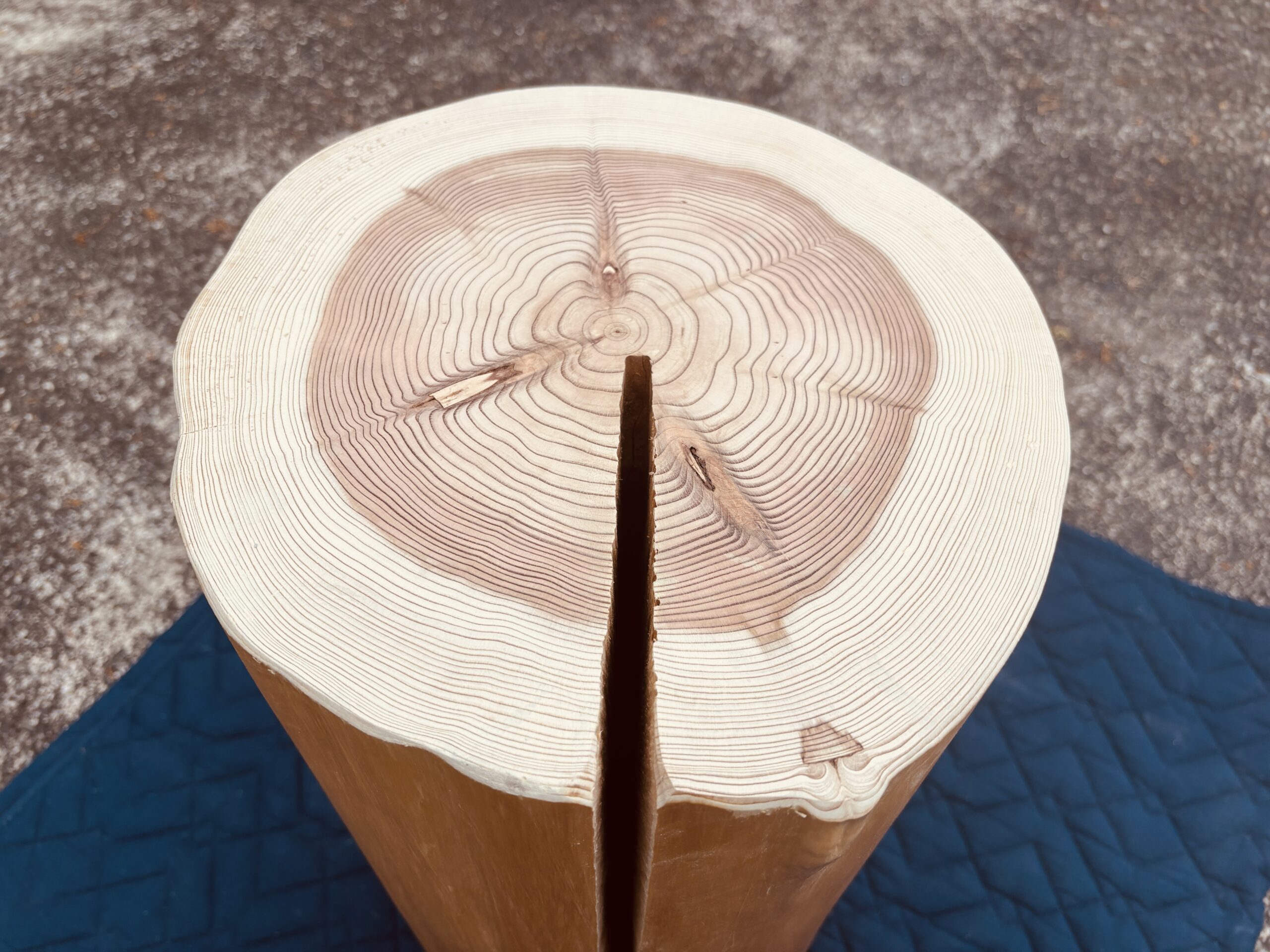 丸太って用意できますか？」から始まった、家具屋様との素材づくり