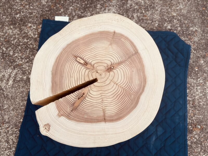 スギの磨き丸太の天面。年輪と背割れが確認でき、自然乾燥された丸太特有の木目が表れている。