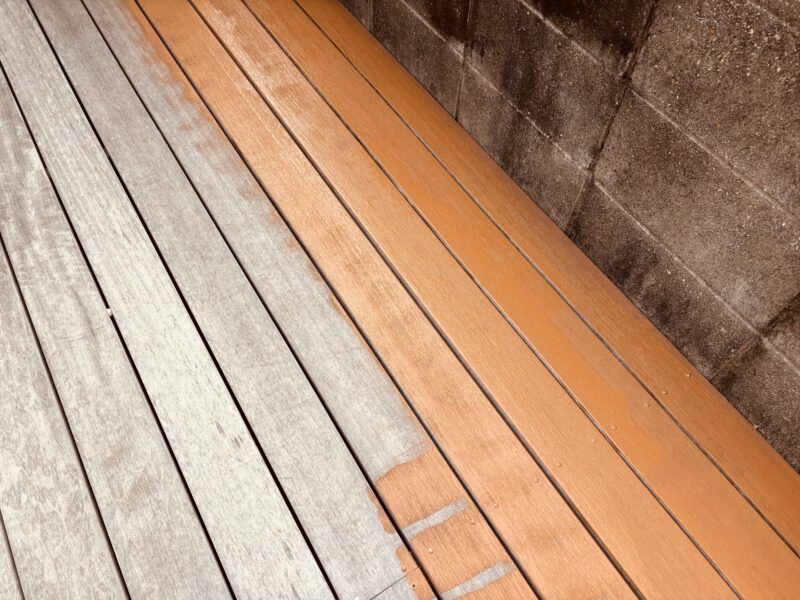 塗装によって色が回復したセランガンバツと白銀化部分の境界