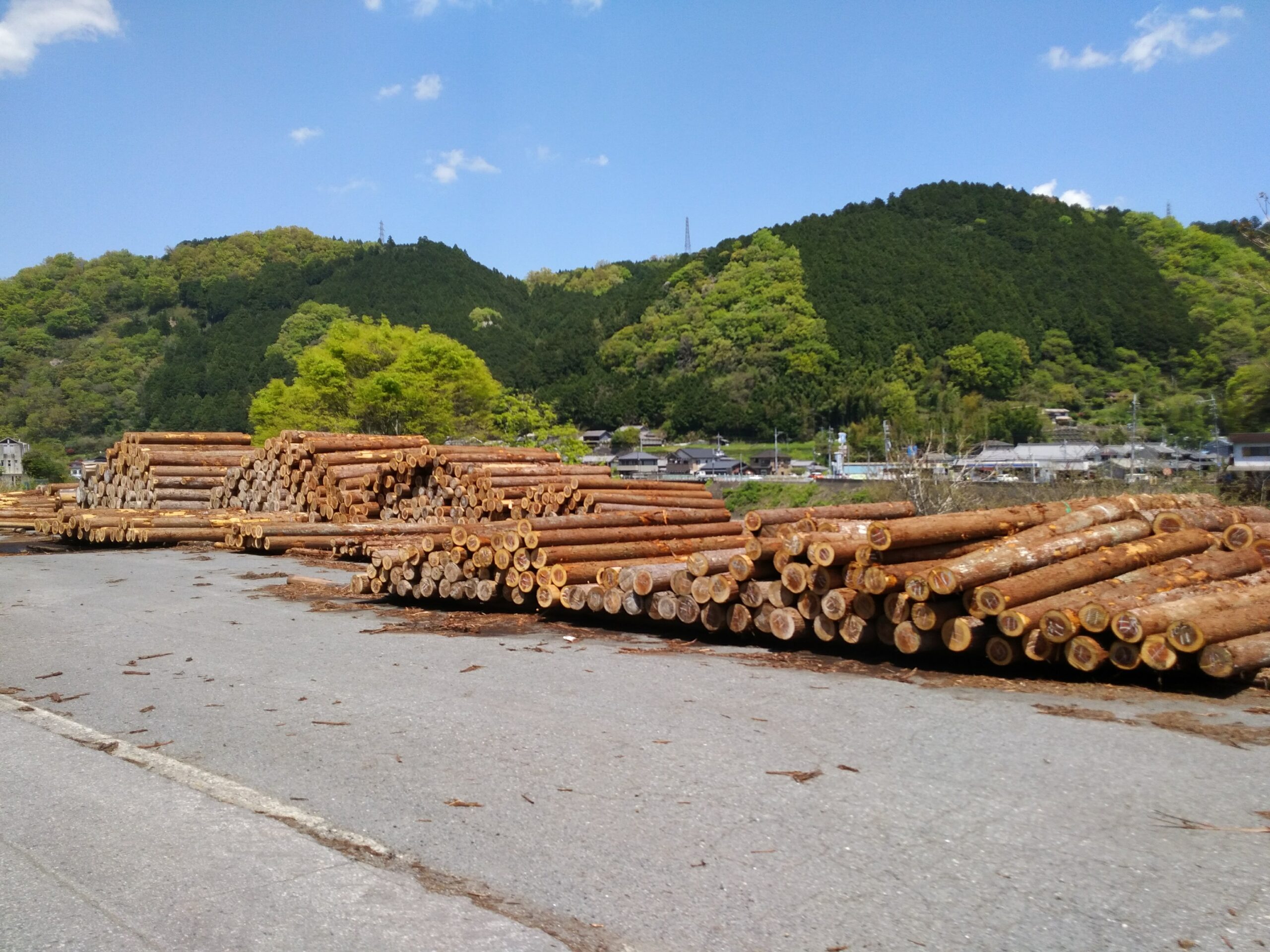 日本の山間部の土場に整然と積まれた国産杉・ヒノキの丸太と背景の森林風景