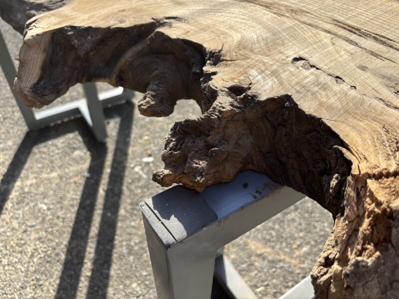 神代ニレの一枚板をレジンテーブル用素材として屋外で撮影した写真 耳部分には長い時間を経た風化の跡が残っている