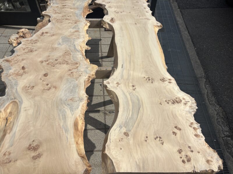 形状の異なるポプラ一枚板を2枚並べてレジンテーブル素材として比較している様子