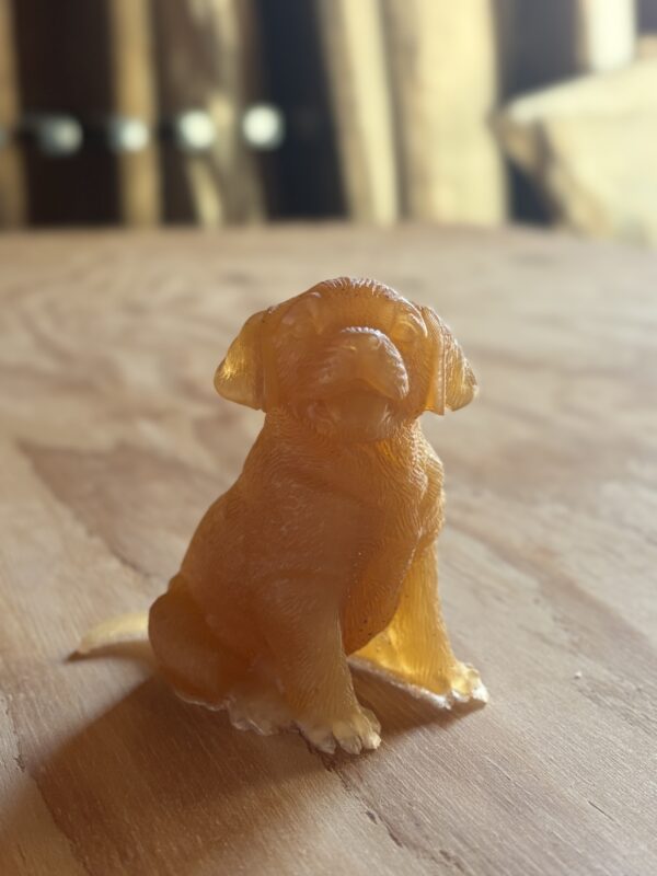 透明アンバー色のレジンで制作したラブラドールの犬フィギュアを無垢フローリングの上に展示した様子