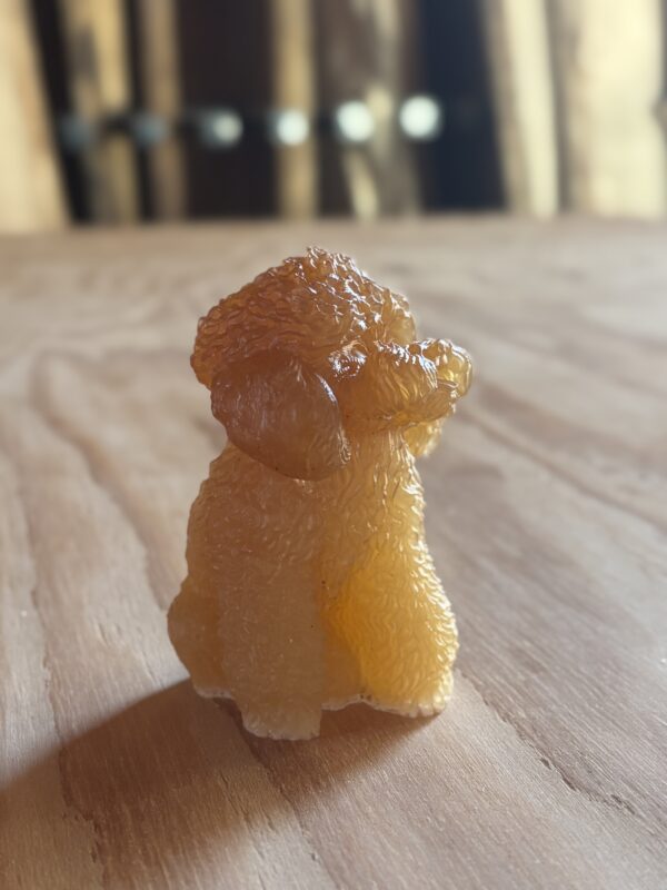 透明感のあるアンバー色レジンで制作したプードル犬フィギュアを天然木の上に展示した写真