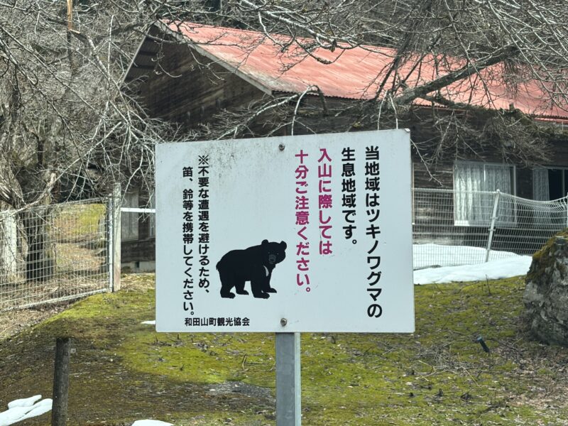 ツキノワグマ出没注意の看板｜糸井の大カツラ周辺の山林