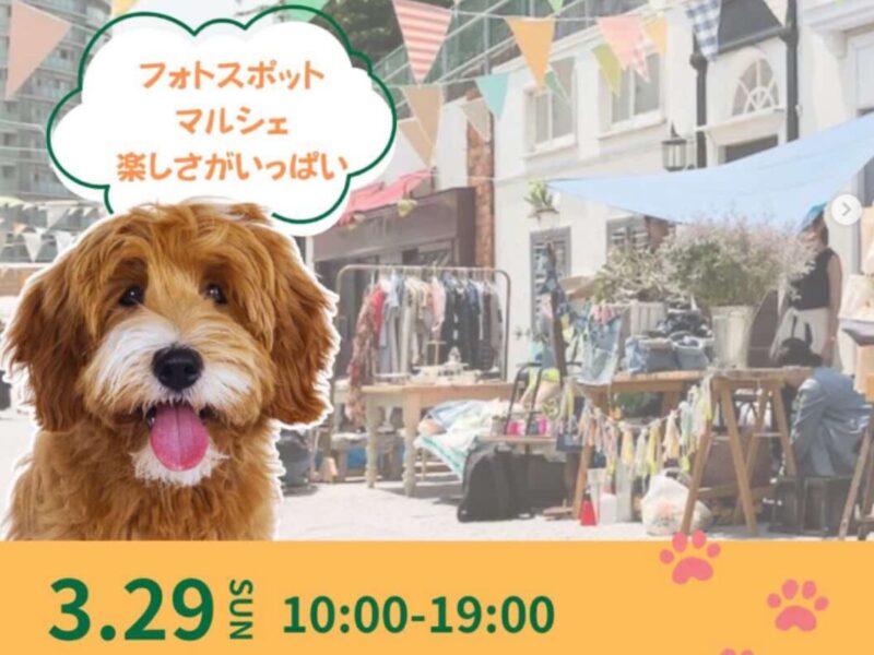 人と犬のイベント「Grove Party」開催告知ポスター｜マルシェやフォトスポットが楽しめるドッグイベント